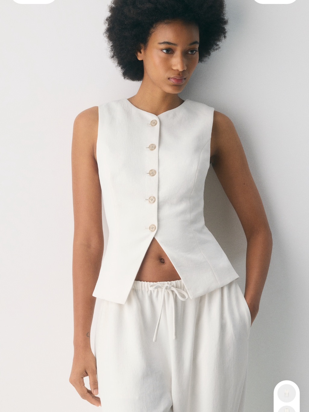 Aritzia Regal Vest